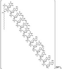 Figure FDA0003019839920000041