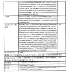 Figure 0007438604000053