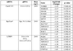 Figure imgf000231_0002