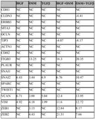 Figure imgf000091_0001