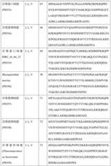 Figure BDA0004113681710000441