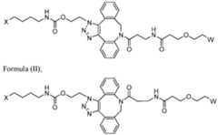 Figure imgf000292_0001