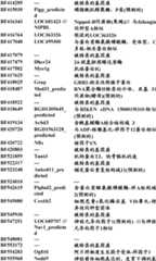 Figure BDA0000057170160000471