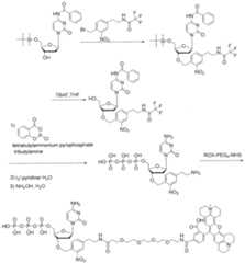 Figure imgf000589_0001
