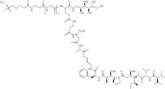 Figure US11135307-20211005-C00294