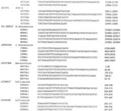 Figure 112006033102515-pct00002