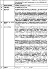 Figure BDA0002298305510000951