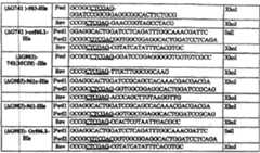 Figure C200310102845D00921