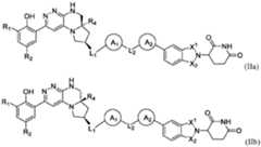 Figure imgf000027_0001