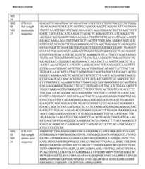 Figure imgf000058_0001