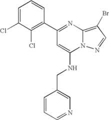 Figure US07119200-20061010-C01233