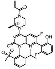Figure BDA0002861043520000751