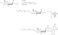 Figure US07179617-20070220-C00107
