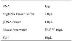 Figure BDA0003467640020000063