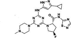 Figure GPA00001066806500771