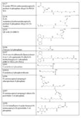 Figure imgf000096_0001