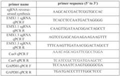 Figure imgf000098_0001