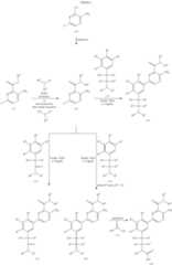 Figure US11046658-20210629-C00061