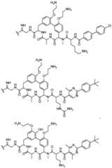 Figure imgf000054_0001