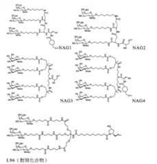 Figure 110128808-A0202-12-0217-239