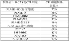 Figure GDA0002915499550000231