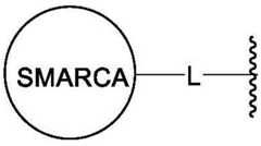 Figure BDA0003783300830000591