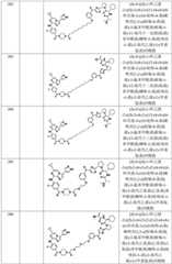 Figure BDA0002964098100002971