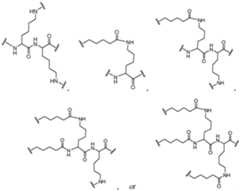 Figure imgf000050_0002