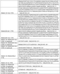 Figure BDA0002222959720000161