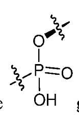 Figure imgf000112_0005