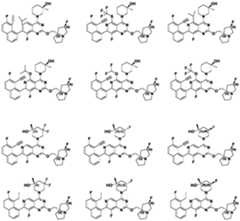 Figure PCTCN2022124111-appb-000094