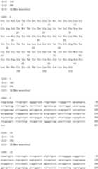 Figure IDA0002954755790000031