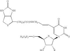 Figure US06844433-20050118-C00001