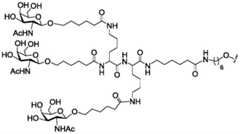 Figure BDA0003018192690002033