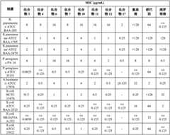 Figure GPA0000290633380001021