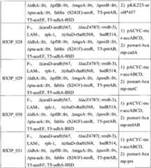 Figure BPA00001563191501611