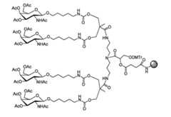 Figure 110128808-A0202-12-0204-230
