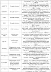 Figure PCTCN2022090268-appb-000079