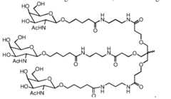 Figure imgf000235_0001