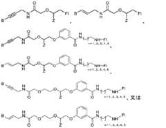 Figure 2024516191000026