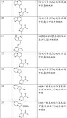 Figure BDA0002379504970001371