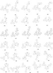 Figure FDA0002697681650000201