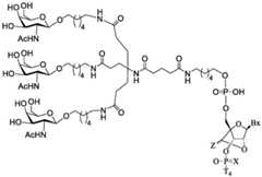 Figure BDA0003357312860003062