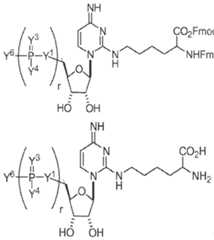 Figure imgf000654_0001