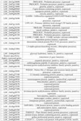 Figure PCTCN2022090268-appb-000003