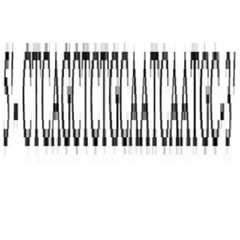 Figure 112022093875112-pat00021