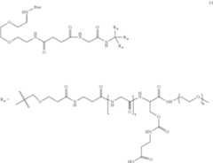 Figure US11135307-20211005-C00377