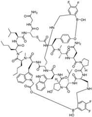 Figure imgf000012_0001