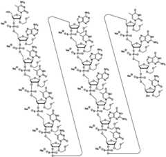 Figure FDA0003817829460000101