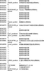 Figure BDA0000057170160001171